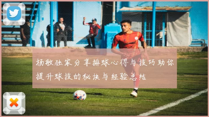 杨敏独家分享排球心得与技巧助你提升球技的秘诀与经验总结