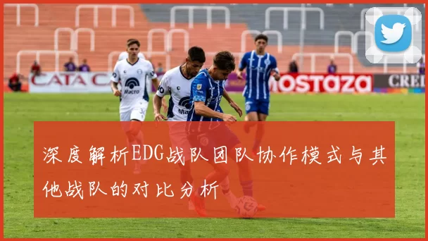 深度解析EDG战队团队协作模式与其他战队的对比分析