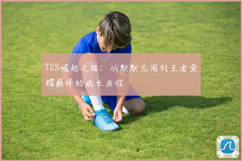 TES崛起之路：从默默无闻到王者荣耀巅峰的成长历程