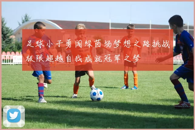 足球小子勇闯绿茵场梦想之路挑战极限超越自我成就冠军之梦