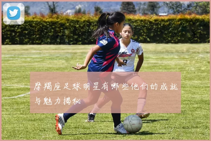摩羯座足球明星有哪些他们的成就与魅力揭秘