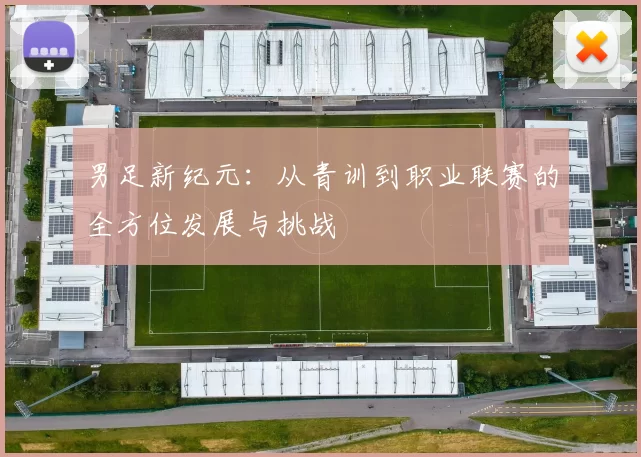 男足新纪元：从青训到职业联赛的全方位发展与挑战
