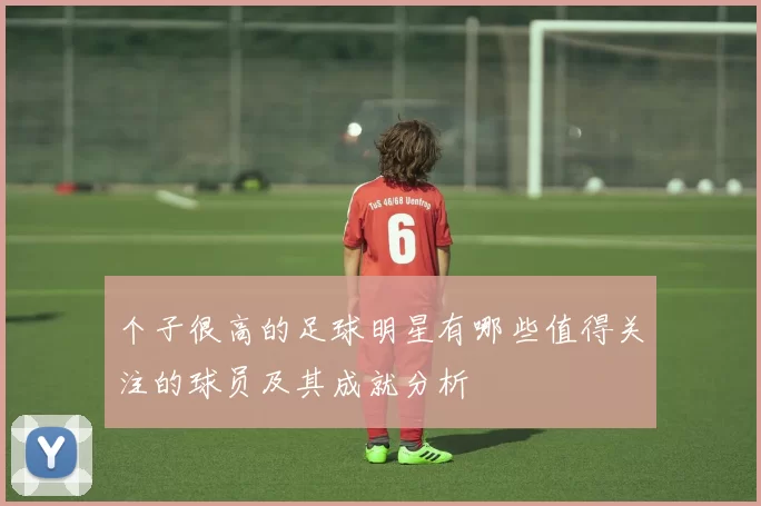 个子很高的足球明星有哪些值得关注的球员及其成就分析