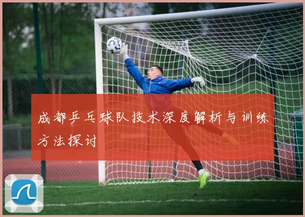 成都乒乓球队技术深度解析与训练方法探讨