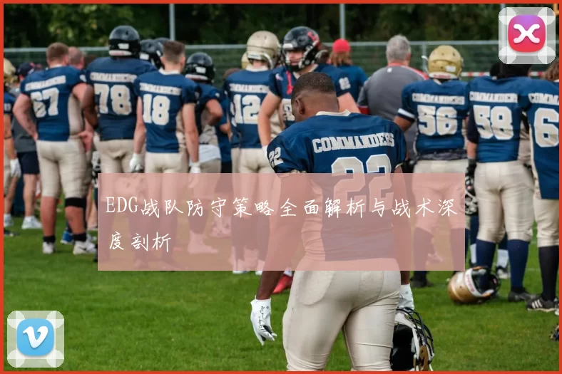 EDG战队防守策略全面解析与战术深度剖析