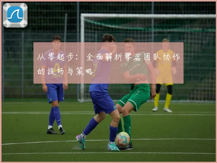 从零起步：全面解析攀岩团队协作的技巧与策略
