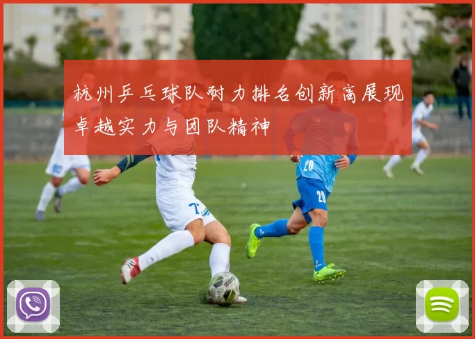 杭州乒乓球队耐力排名创新高展现卓越实力与团队精神