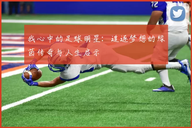 我心中的足球明星：追逐梦想的绿茵传奇与人生启示