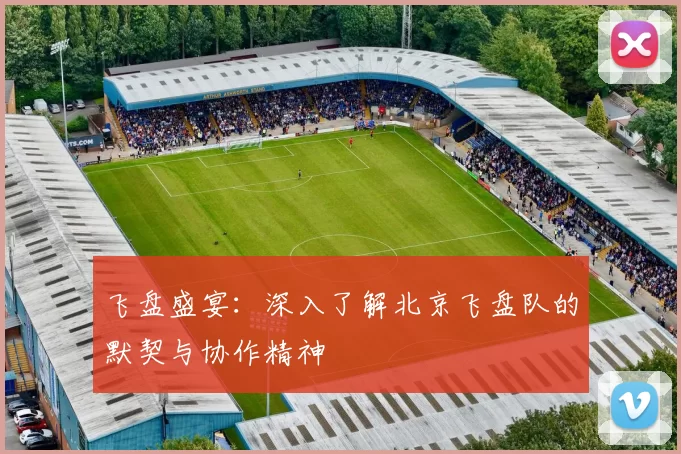 飞盘盛宴：深入了解北京飞盘队的默契与协作精神