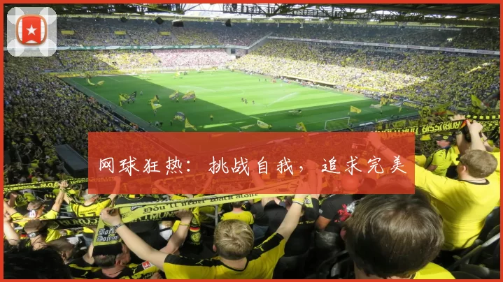 网球狂热：挑战自我，追求完美