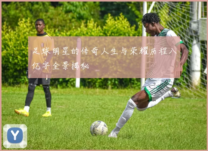 足球明星的传奇人生与荣耀历程八亿字全景揭秘