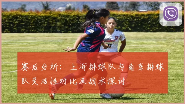 赛后分析：上海排球队与南京排球队灵活性对比及战术探讨