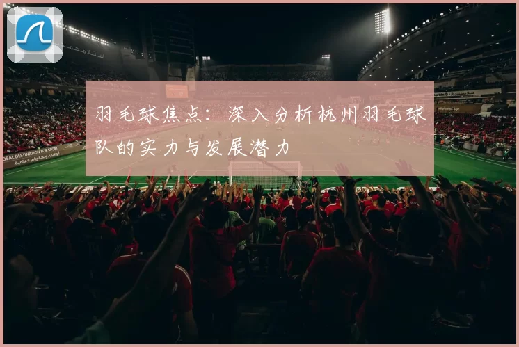 羽毛球焦点：深入分析杭州羽毛球队的实力与发展潜力