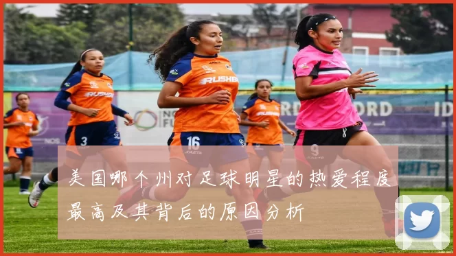 美国哪个州对足球明星的热爱程度最高及其背后的原因分析