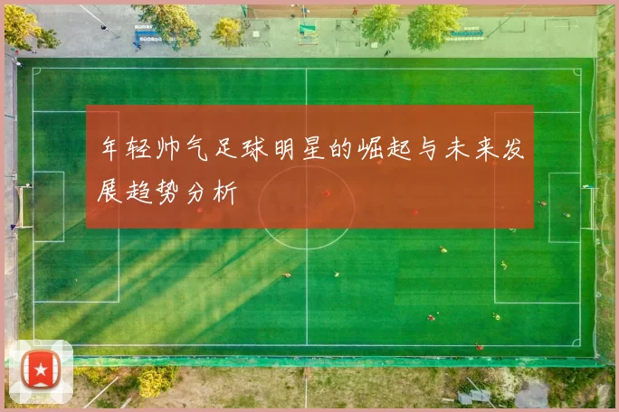 年轻帅气足球明星的崛起与未来发展趋势分析
