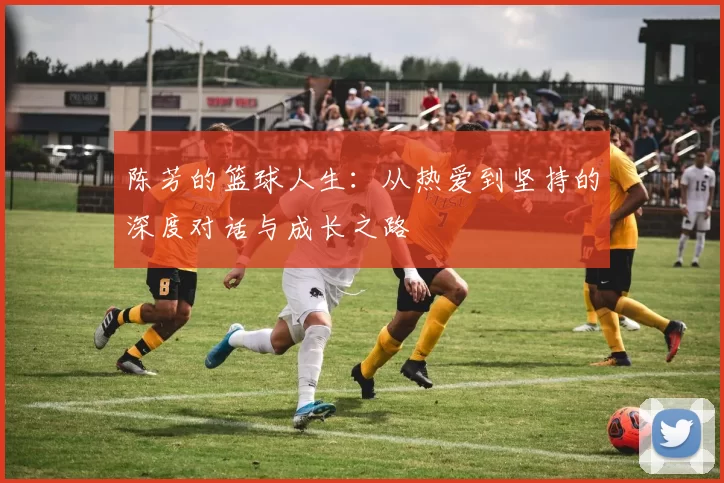 陈芳的篮球人生：从热爱到坚持的深度对话与成长之路