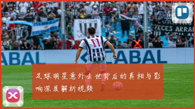 足球明星意外去世背后的真相与影响深度解析视频