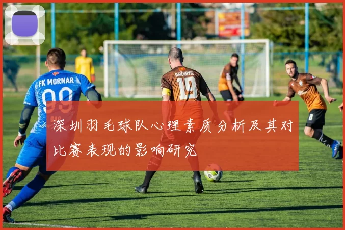 深圳羽毛球队心理素质分析及其对比赛表现的影响研究